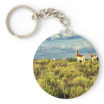 Pronghorn Antelope keychains