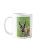 Pronghorn Face Mug