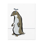 propeller hat penguin postcards