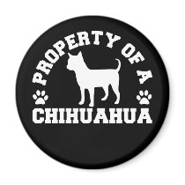Property Chihuahua Magnet