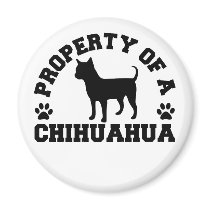 Property Chihuahua Magnets