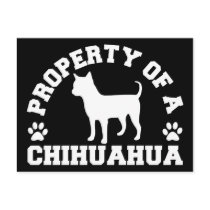 Property Chihuahua Post Cards