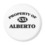 Property of ALBERTO magnets