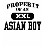 Property of an Asian Boy t-shirts
