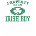 Property of an Irish Boy t-shirts