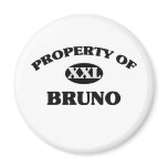 Property of BRUNO magnets