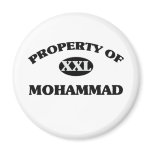 Property of MOHAMMAD magnets