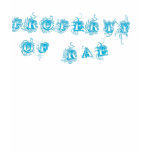 Property of rae t-shirts