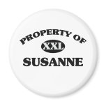 Property of SUSANNE magnets