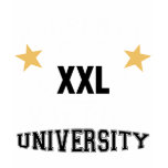 Property Of Vampire University t-shirts