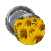 Proposals -love making pinback buttons