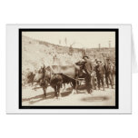 Prospectors with Gold Fever SD 1889 cards