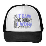 Prostate Cancer Survivor It Came We Fought I Won Mesh Hats