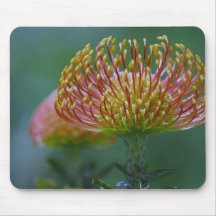 Protea Flower Mouse Mats