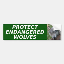 Protect Endangered Wolves bumper sticker