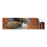 protect our wildlife bumper sticker