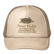Protect Sea Turtles Hats