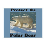 Protect the Polar Bear postcards
