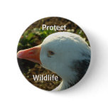 Protect Wildlife | buttons