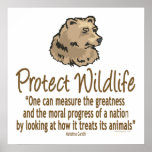 Protect Wildlife, Ursus, Bears posters