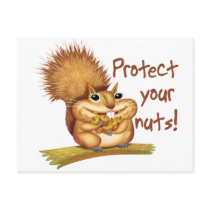 Protect Your Nuts
