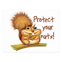 Protect Your Nuts Postcards