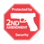 Protected by 2nd Amendment - Red