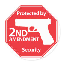 Protected by 2nd Amendment - Red