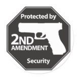 Protected by 2nd Amendment