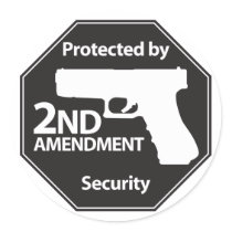 Protected by 2nd Amendment