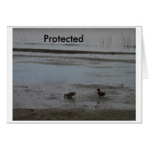 Protected Greeting Cards