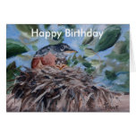Protecting Robin Birthday Card