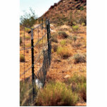 Protective Fencing for Desert Tortoise Habitat photo sculptures