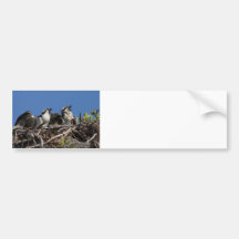 Protective Parents Bumper Stickers