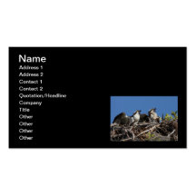 Protective Parents Business Card