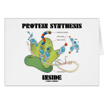 Protein Synthesis Inside (Cell Biology) cards
