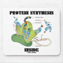 Protein Synthesis Inside (Cell Biology)