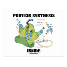 Protein Synthesis Inside (Cell Biology) Post Cards
