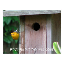 Prothonotary Box Postcard