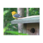 Prothonotary Claims Box Postcard