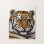 Proud Bengal Tiger Puzzle