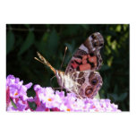 Proud Butterfly ~ ATC business cards