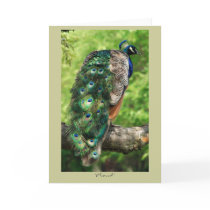 Proud Greeting Cards