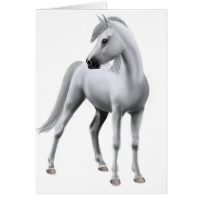 Proud Grey Horse Card by twopurringcats