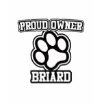 Proud Owner of a Briard t-shirts