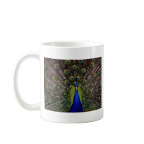 Proud Peacock Mug
