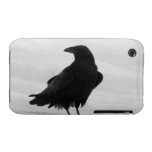Proud Raven iPhone 3 Case-Mate Case