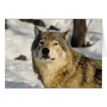 Proud stance greeting cards