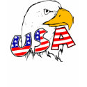 Proud to be American - USA t-shirts