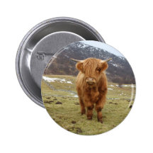 Proud to be Scottish! Pinback Buttons